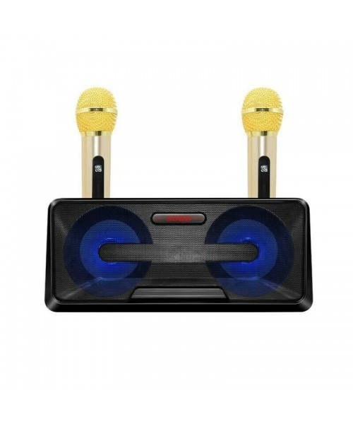 Σύστημα Karaoke με Ασύρματα Μικρόφωνα SD-301 σε Χρώμα Μαύρο