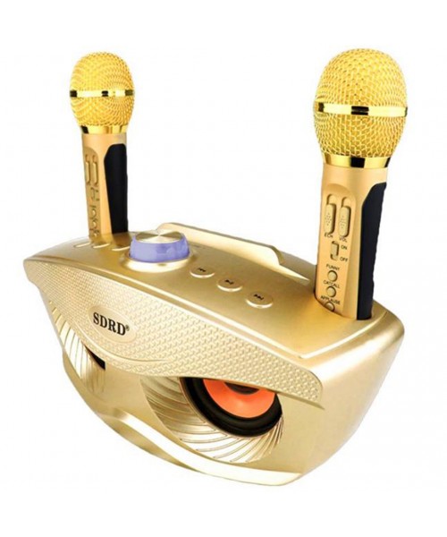 Σύστημα Karaoke με Ασύρματα Μικρόφωνα SD-306 σε Χρώμα Χρυσό 