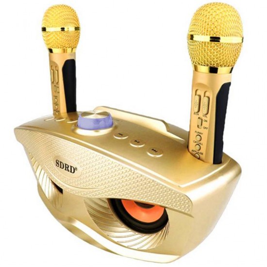 Σύστημα Karaoke με Ασύρματα Μικρόφωνα SD-306 σε Χρώμα Χρυσό Σύστημα Karaoke με Ασύρματα Μικρόφωνα SD-306 σε Χρώμα Χρυσό