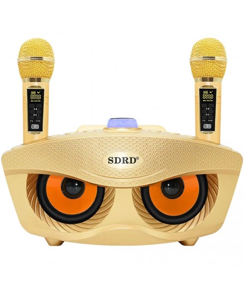 Σύστημα Karaoke με Ασύρματα Μικρόφωνα SD-306 σε Χρώμα Χρυσό 