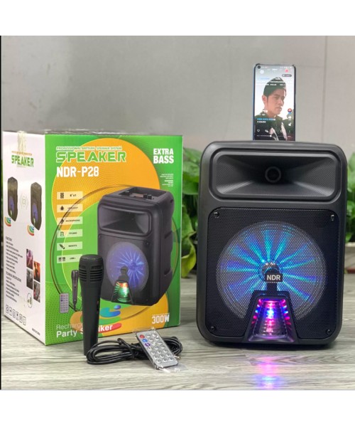 Ηχείο ND-P28 Μαύρο