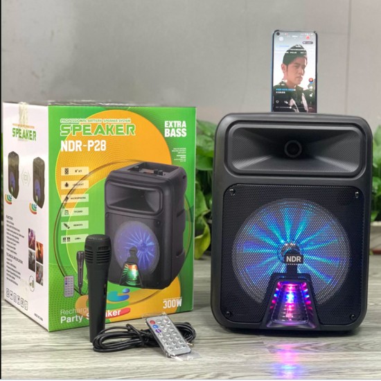 Ηχείο ND-P28 Μαύρο