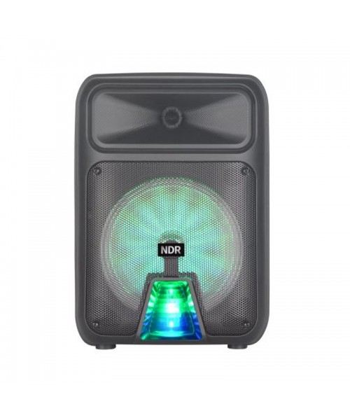 Ηχείο ND-P28 Μαύρο