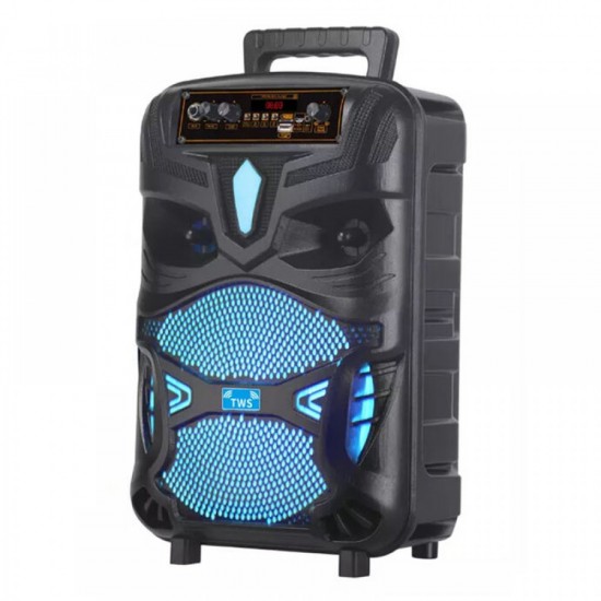 Ηχείο Bluetooth NDR P55 με LED Φωτισμό & TWS (12 Ίντσες)